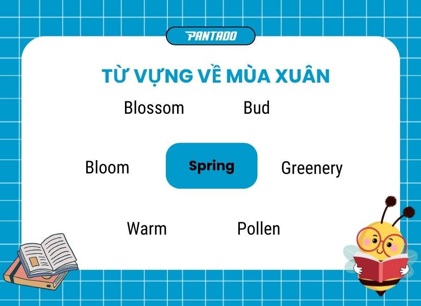 Từ vựng tiếng Anh về mùa xuân